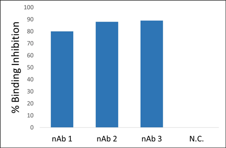 Inhibition of Spike-ACE2 by anti-Spike antibodies