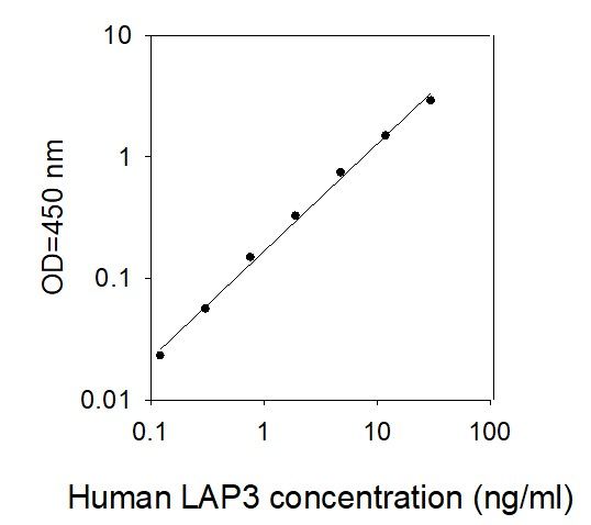 Standard Curve