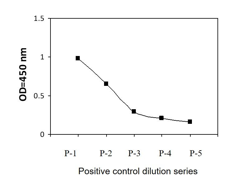 PLCG1 (Tyr771) Positive Control