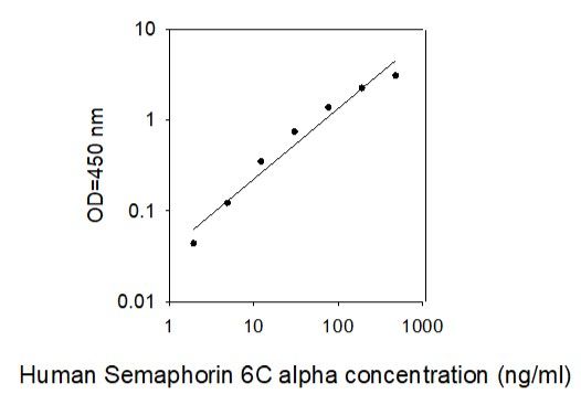 Standard curve image