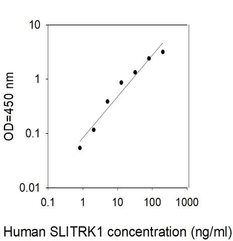 Standard Curve