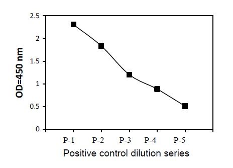 ITK (Phosphotyrosine)- Positive Control