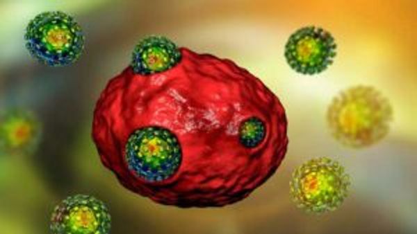 Viral entry of the SARS-CoV-2 virus into a human cell (red)
