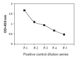 PEL-ErbB3-Y Positive Control