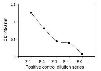 FYN ELISA - Positive Control