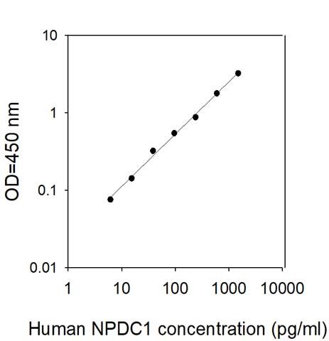 Standard Curve