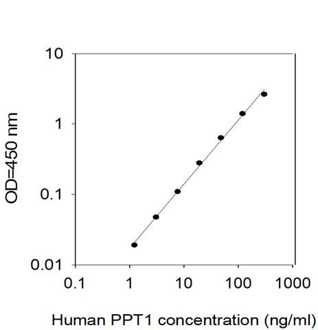 Standard Curve