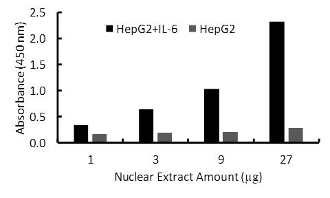 Transcription factor assay of HNF-1-alpha from nuclear extracts of HepG2 cells or HepG2 cells treated with IL-6 with RayBio HNF-1-alpha TF Activity Assay Kit