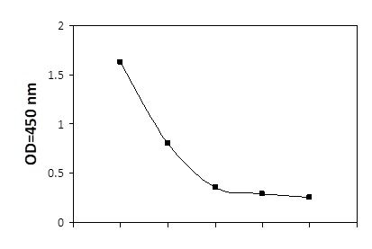 Acetylated-Alpha Tubulin-Positive Control