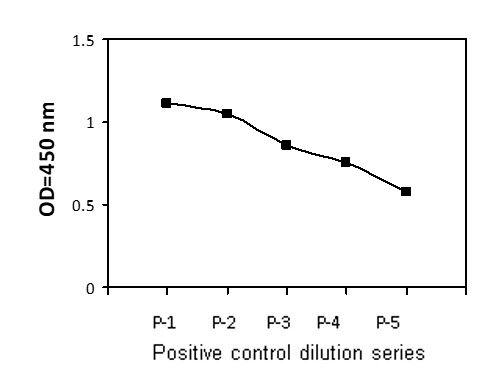 PEL-PhoTyr Positive Control