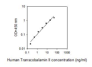 Standard Curve