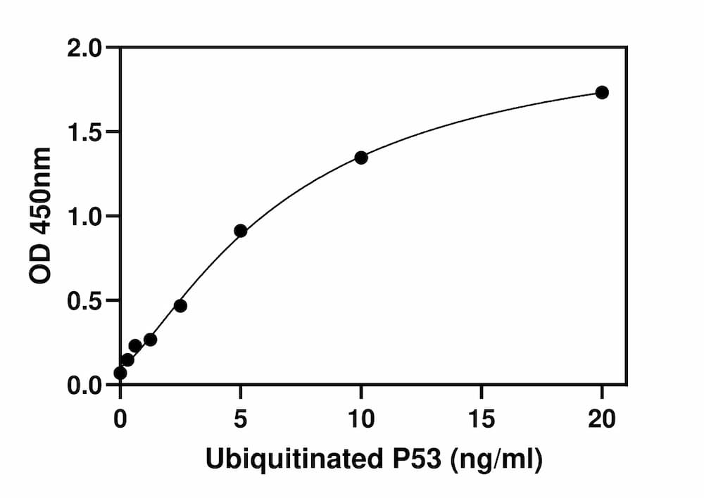 Standard Curve