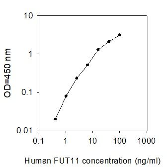 Standard Curve
