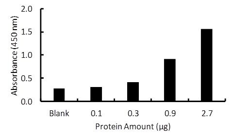 Transcription factor assay of PPAR-delta from purified recombinate PPAR-delta protein with RayBio PPAR-delta TF Activity Assay Kit.