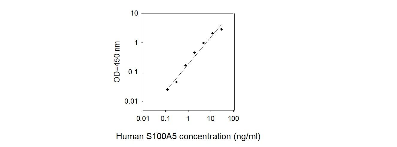 Standard Curve