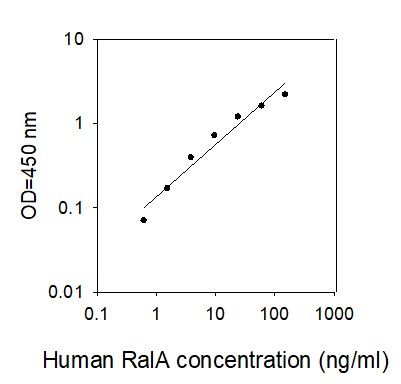 Standard Curve