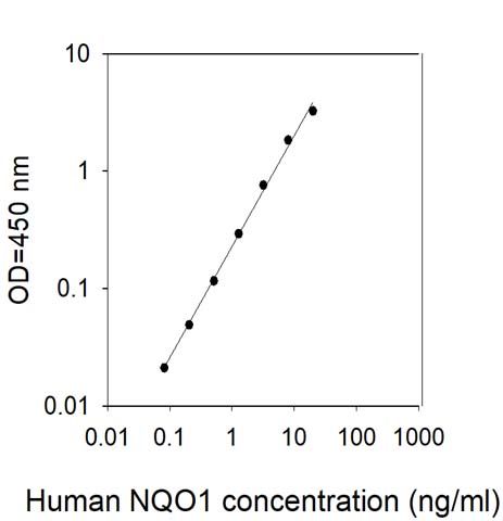 Standard Curve