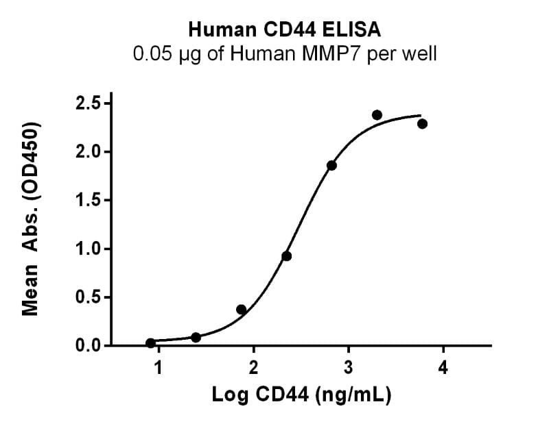 Activity Image