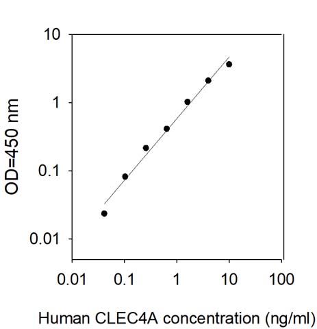 Standard Curve