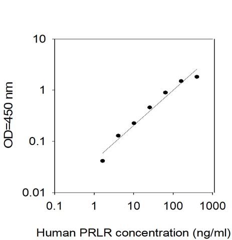 Standard Curve