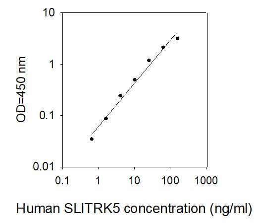 Standard Curve