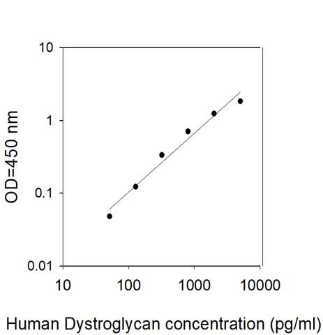 Standard Curve