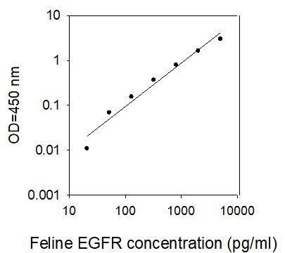 Standard curve image