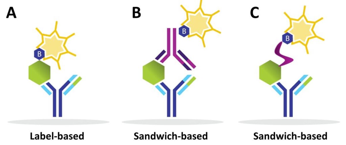 Comparison of label-based and sandwich-based immunoassays