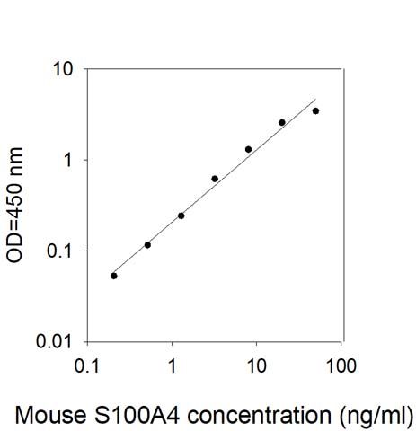 Standard Curve
