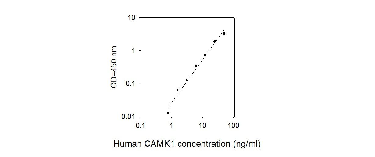 Standard Curve