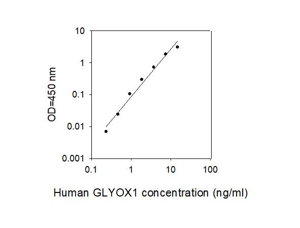 Standard Curve