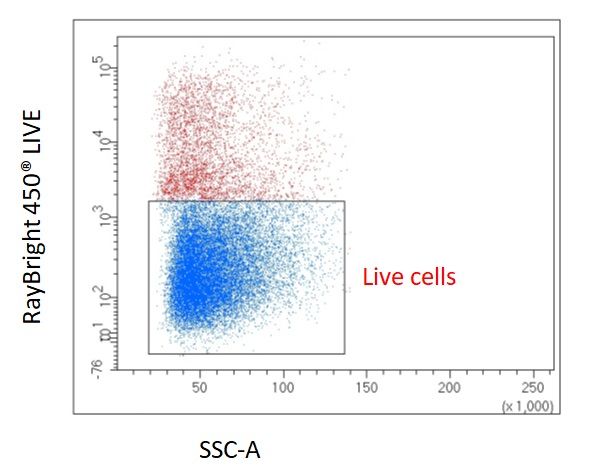 One million mouse splenocytes in 100 µl of PBS (protein free) were stained with RayBright® Live 488 at 1:200 dilution.
