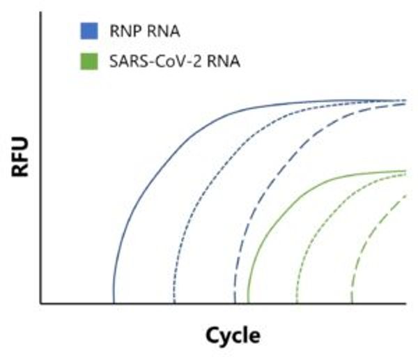 Multiplex detection of SARS-CoV-2 and human genes by qRT-PCR.