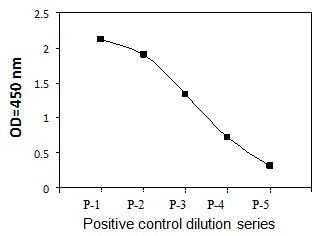 PEL-ROR1-Y Positive Control