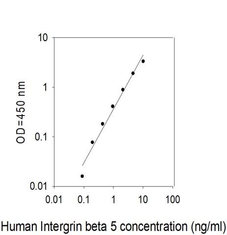 Standard Curve