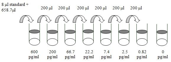 Mouse IL-6 ELISA Standard Dilution Series