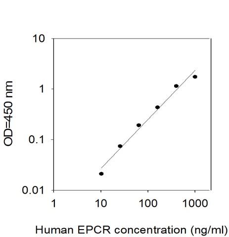 Standard Curve