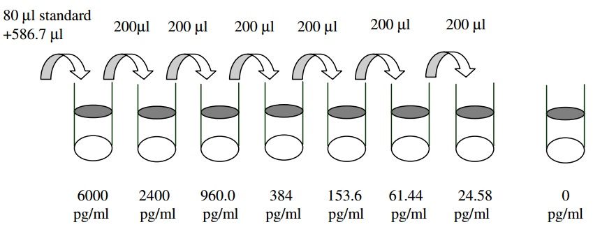 Dilution series diagram with 8 vials