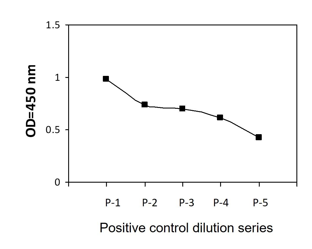LCP (Y145) - Positive Control