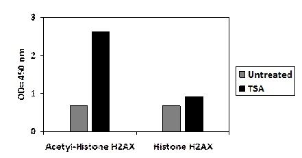 Acetylated-Histone H2AX-ELISA Kit