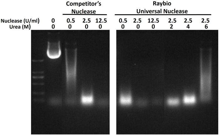 DNA cleavage assay competitor comparison