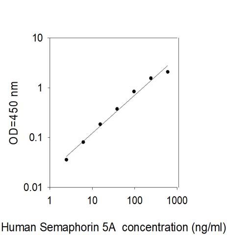 Standard Curve