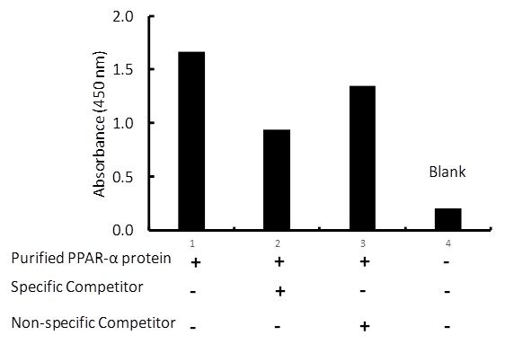Transcription factor assay of PPAR-alpha from 0.3 ug purified recombinate PPAR-alpha protein with the specific competitor or non-specific competitor. The result shows specific binding of PPAR-alpha to the PPAR-alpha DNA binding site.
