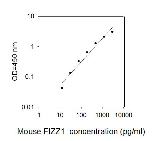 Standard curve image