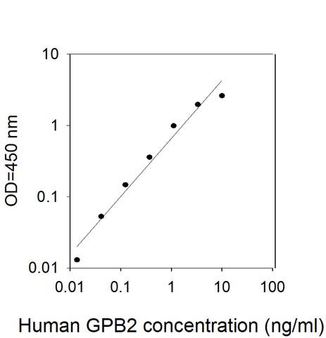 Standard Curve