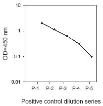 PEL-STAT6-Y Positive Control