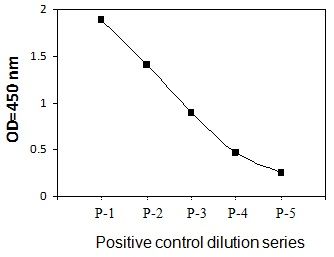 PEL-ROR2-Y Positive Control