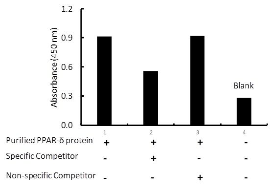 Transcription factor assay of PPAR-delta from 0.3 ug purified recombinate PPAR-delta protein with the specific competitor or non-specific competitor. The result shows specific binding of PPAR-delta to the PPAR-delta DNA binding site.