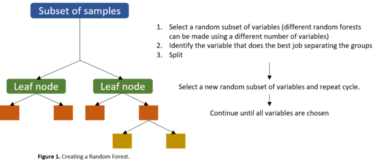 Random Forest model diagram