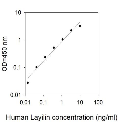Standard Curve